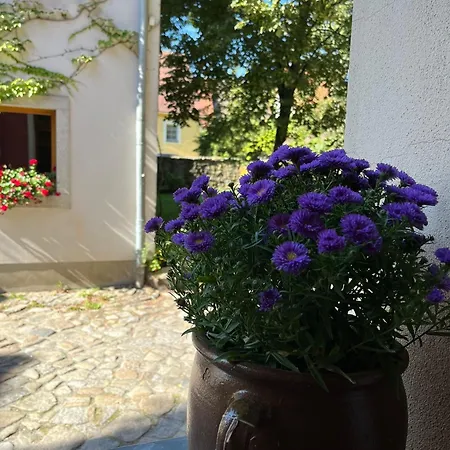 5 Predigergasse