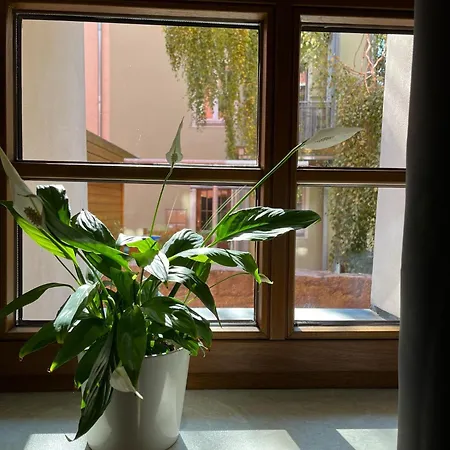 Apartmán 5 Predigergasse