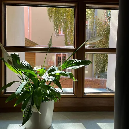 Apartment 5 Predigergasse