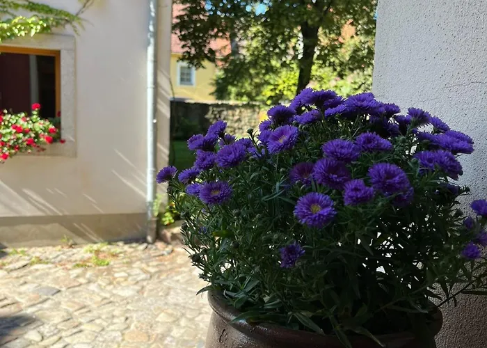 5 Predigergasse