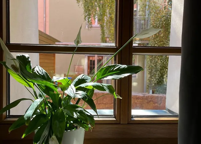 Apartment 5 Predigergasse